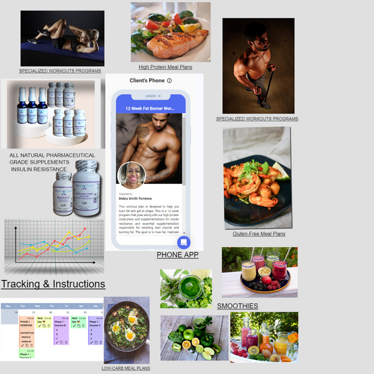 Why We Gain Weight (The Essentials) The Fat Burning Process - Auspicious Essentials