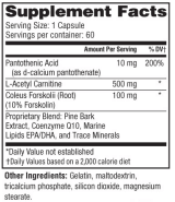 Men's - Fat Burner Bundle (1) Month Supply - Auspicious Essentials